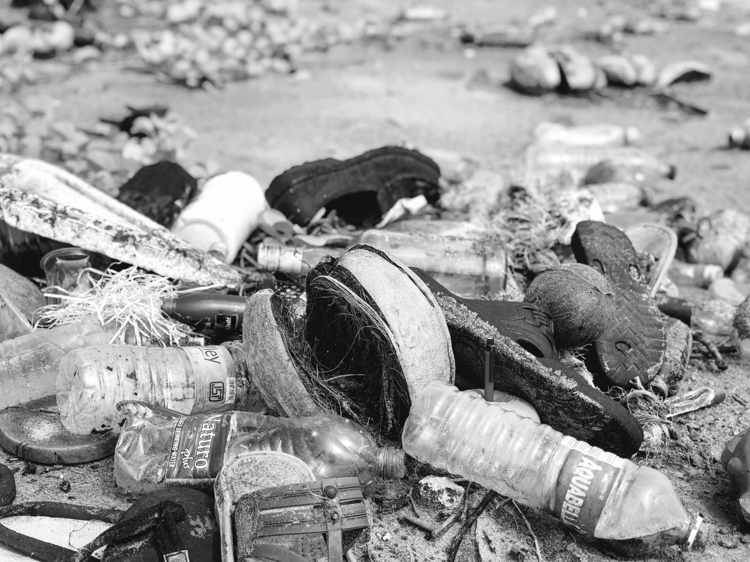 Klimaschutz: Moralischer Druck statt politischer Lösungen?